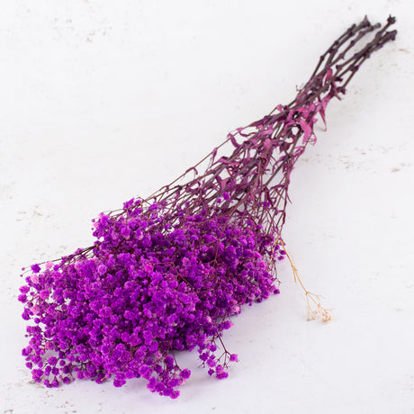 Gypsophila, Preserved, 70cm Bunch, Violet