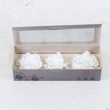 Gardenia Heads Preserved, White, Box x 3