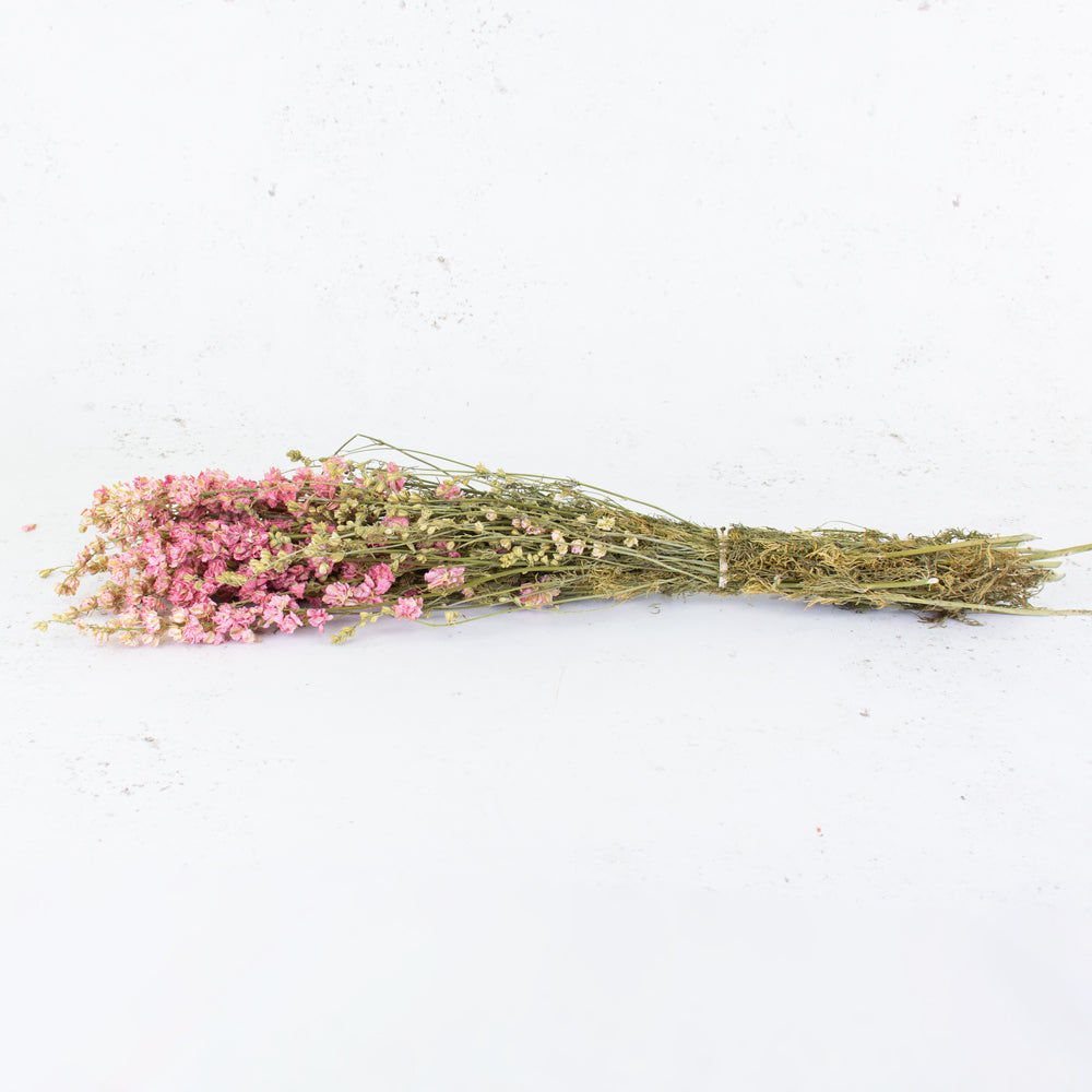 Delphinium, Natural Pink, Bunch, Dried