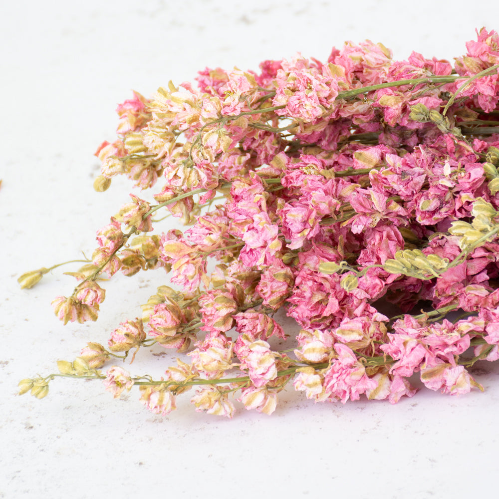 Delphinium, Natural Pink, Bunch, Dried