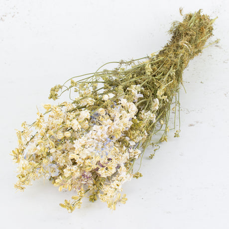 Delphinium, Natural White, Bunch, Dried