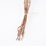 T01507 - Natural Clematis, Dried, Bunch x 10