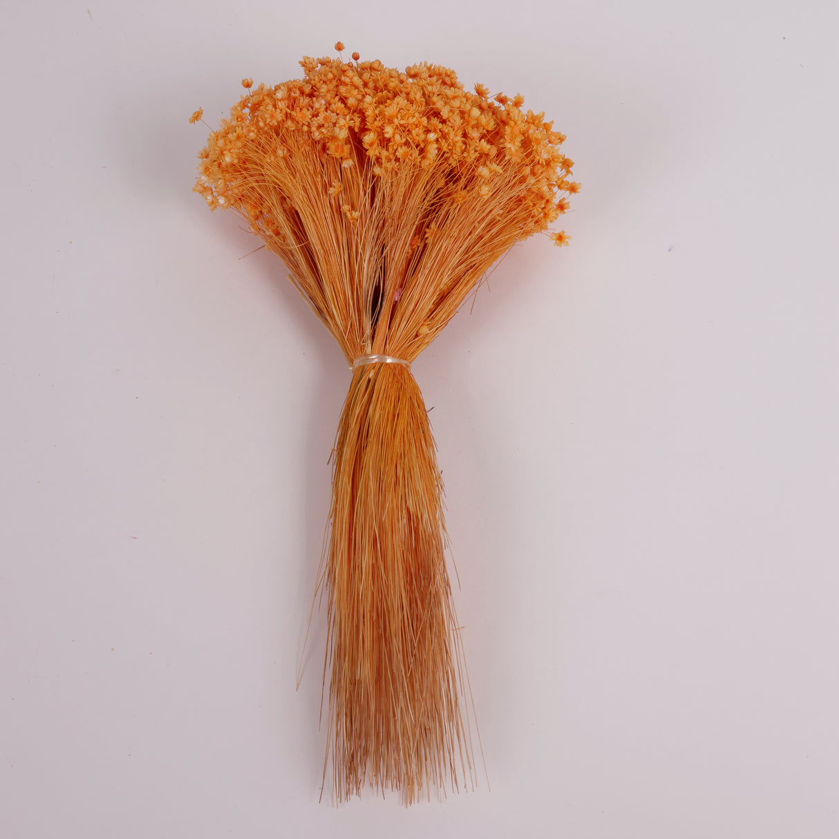Glixia Flower, Dried, Orange, 50g