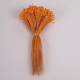 Glixia Flower, Dried, Orange, 50g