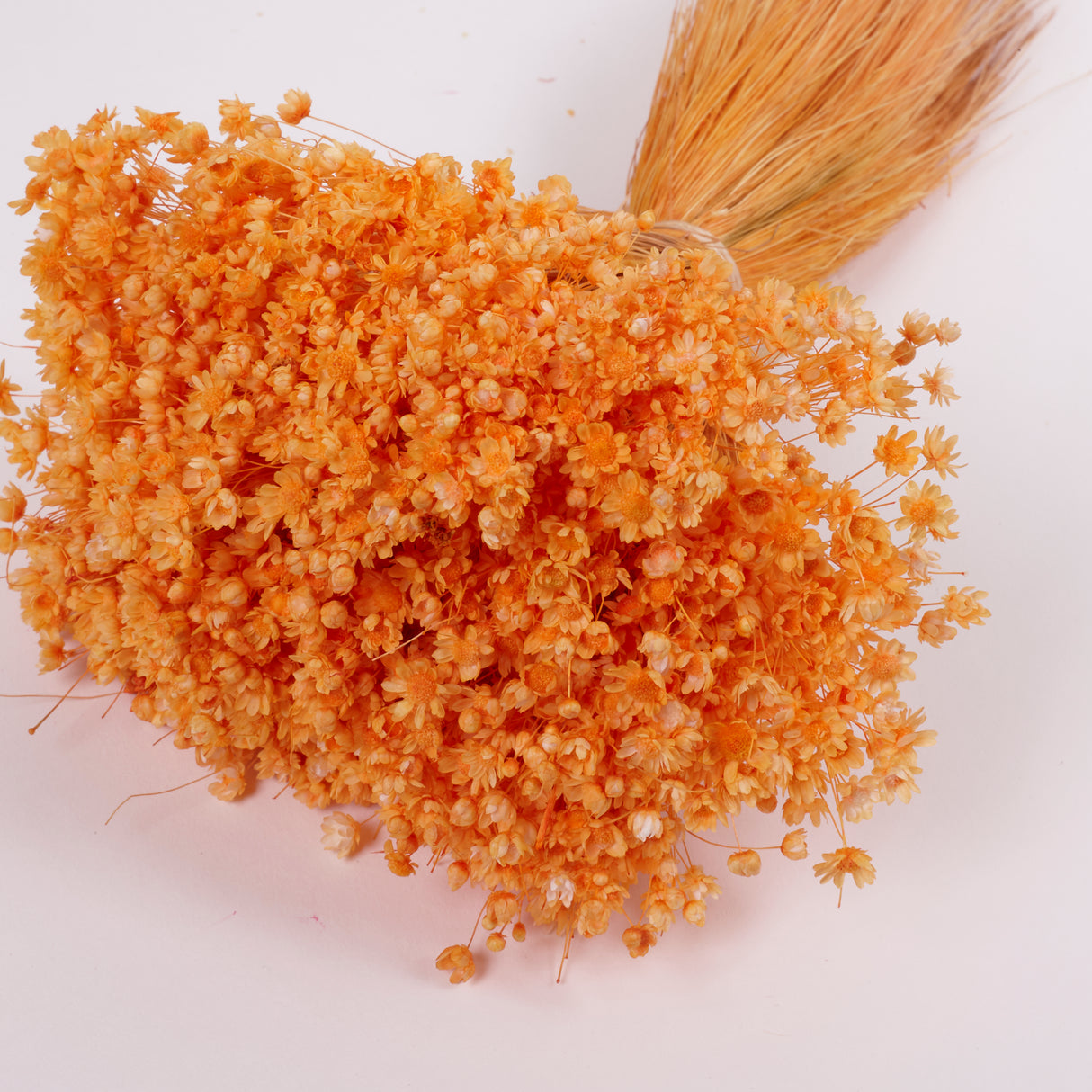 Glixia Flower, Dried, Orange, 50g