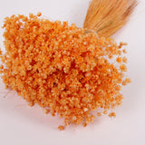 Glixia Flower, Dried, Orange, 50g