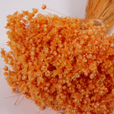Glixia Flower, Dried, Orange, 50g
