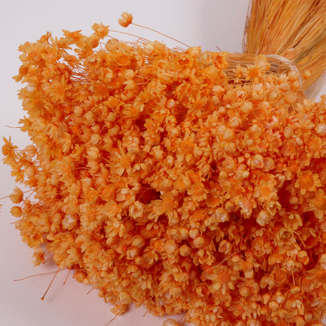 Glixia Flower, Dried, Orange, 50g