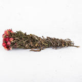 Helichrysum, Dried, Natural Salmon