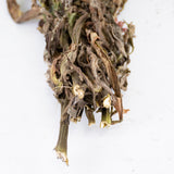 Helichrysum, Dried, Natural Salmon