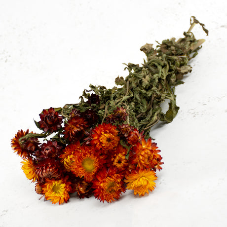 Straw Flower, Helichrysum, Dried, Natural Orange