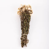 Straw Flower, Helichrysum, Dried, Natural White