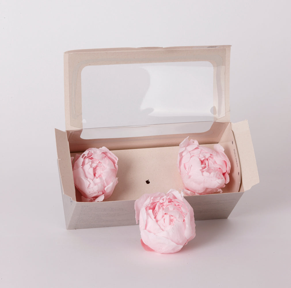 Peony Heads (Verdissimo), Preserved, Pastel Pink, Box x 3 – Atlas