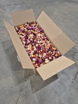 Strawflower, (Helichrysum Heads), Dried, Mix, per 3KG Box