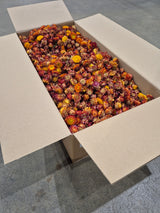 Strawflower, (Helichrysum Heads), Dried, Orange, per 3KG Box