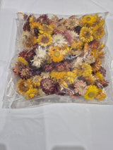 Strawflower, (Helichrysum Heads), Dried, Mix, per 100g Box