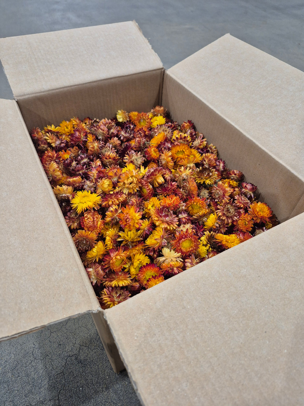 Strawflower, (Helichrysum Heads), Dried, Orange, per 1KG Box