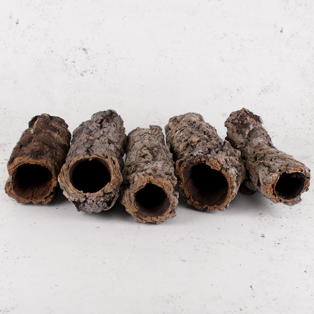 Casca Oca, Hollow Cork Piece, Natural, 20cm, Bag x 5
