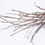 Branches, Cork Twigs, Natural, Bunch, 50cm