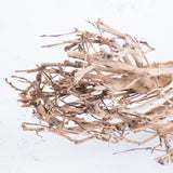 Tea Branches, Dried, Natural Brown, 65cm, Bunch