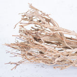 Tea Branches, Dried, Natural Brown, 65cm, Bunch