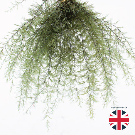 Air Fern, Preserved, Dark Green, Bunch, UK