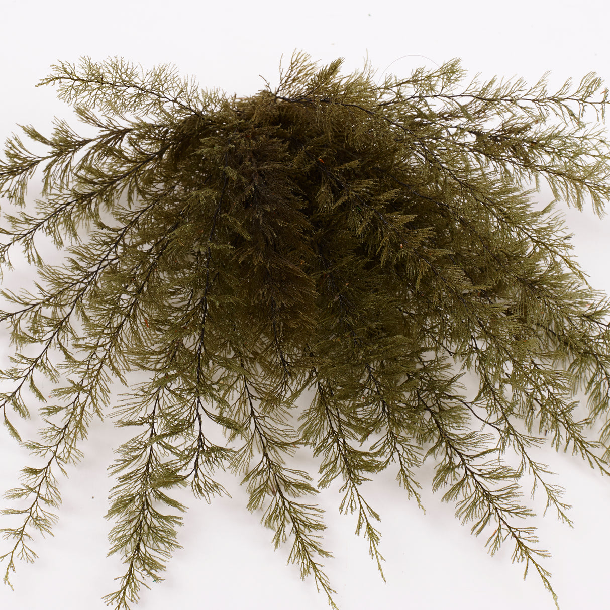 Air Fern, Preserved, Dark Green, Bunch, British