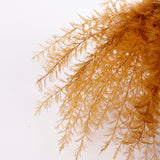 Air Fern, Preserved, Yellow, Bunch, British