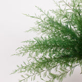 Air Fern, Preserved, Green, Bunch, British