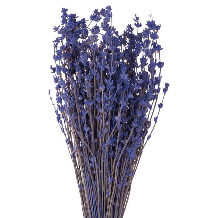 Lavender, Preserved, (Verdissimo), Natural Blue, 130g