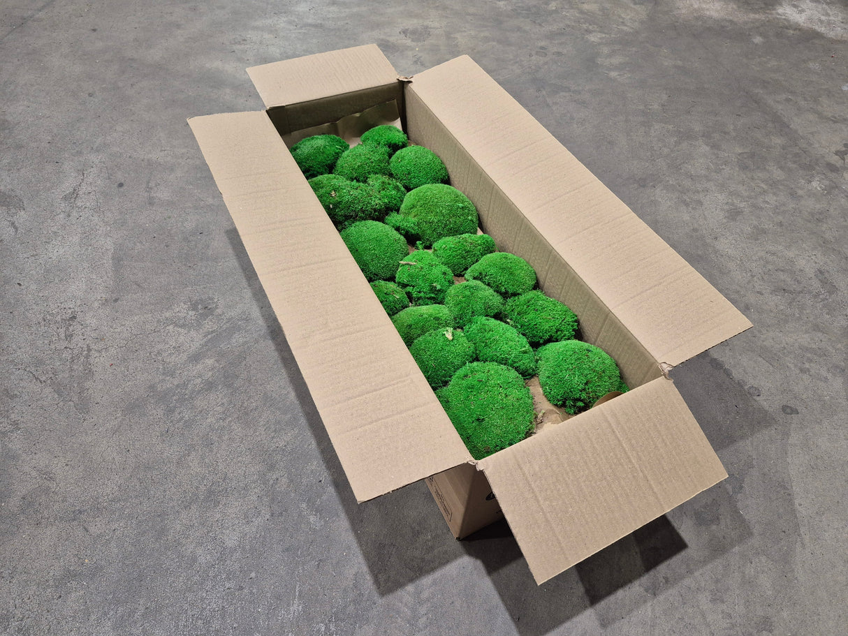 Ball Moss (Pole Moss), Preserved, Green, 2.5kg Box