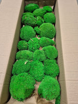 Ball Moss (Pole Moss), Preserved, Green, 2.5kg Box