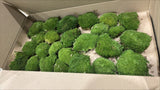 Ball Moss (Pole Moss), Preserved, Natural Green, 2.5kg Box