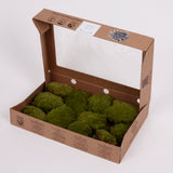 Ball Moss, Preserved, Natural Green, 250g Box
