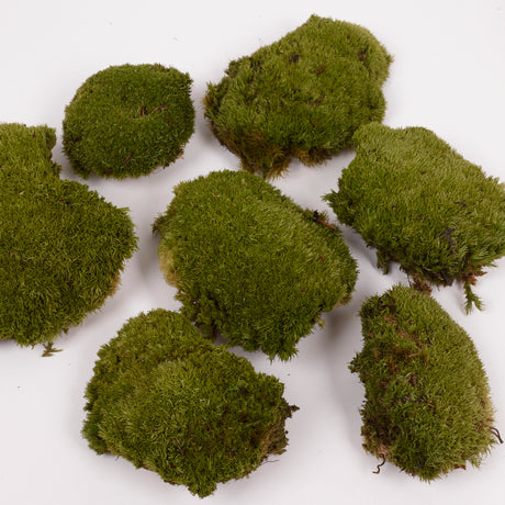Ball Moss, Preserved, Natural Green, 250g Box