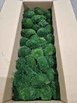 Ball Moss, Fire Retardant, Preserved, Dark Green, 2.5kg