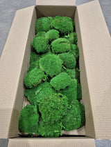 Ball Moss, Fire Retardant, Preserved, Green, 2.5kg