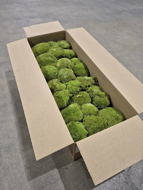 Ball Moss, Fire Retardant, Preserved, Natural Green, 2.5kg