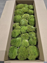 Ball Moss, Fire Retardant, Preserved, Natural Green, 2.5kg