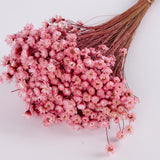 Glixia Flower, Dried, Light Pink, 80g