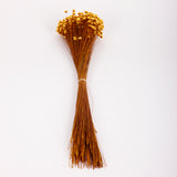 Glixia Flower, Dried, Yellow, 80g