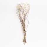 Amobium (sandflower), British, Organic, Natural White, Bunch x 10