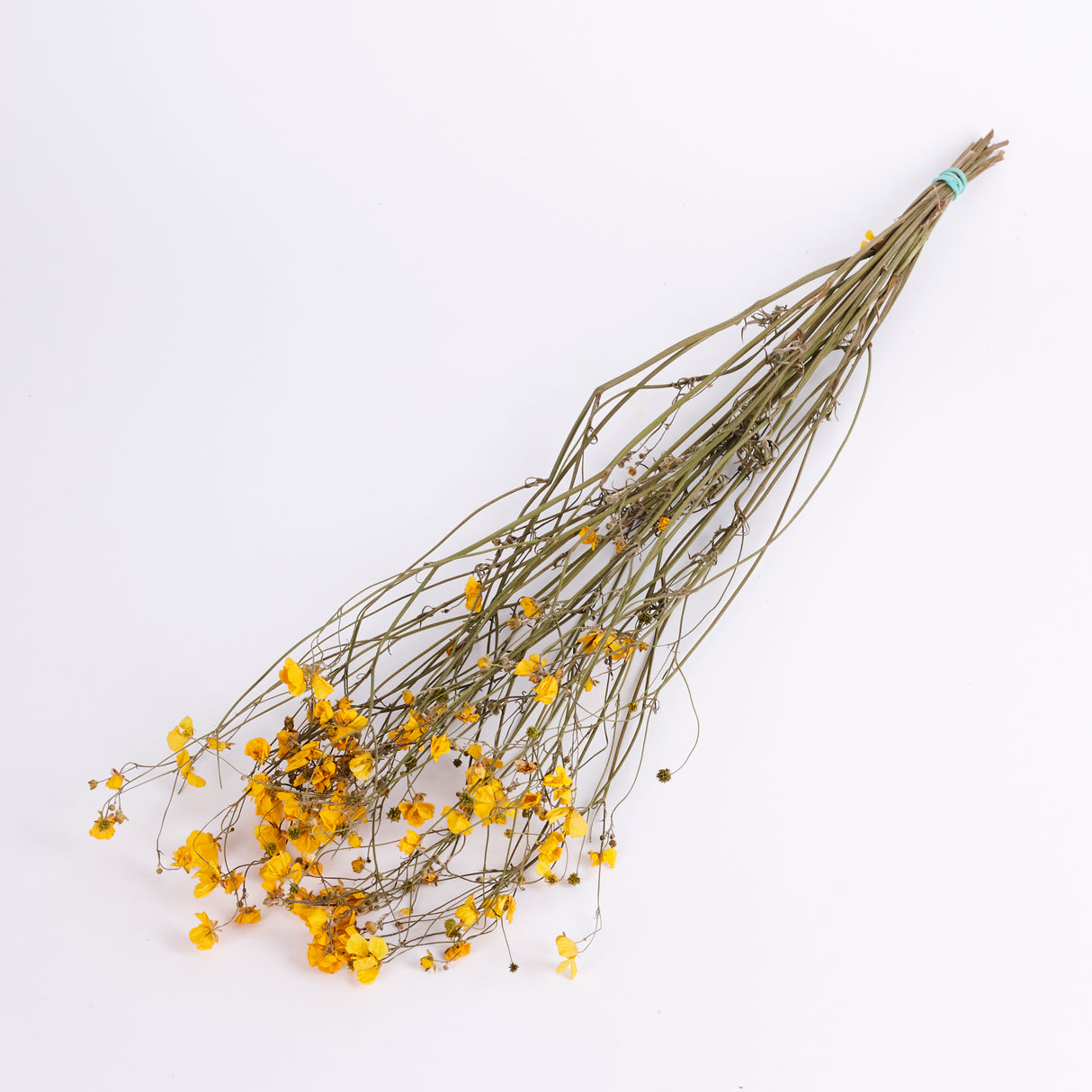 Buttercups, British, Organic, Natural Yellow, 55-70cm x 20
