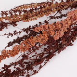 Rumex, British, Organic, Natural Brown, Bunch