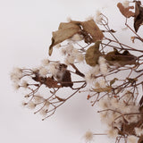 Old Man's Beard, Organic, Natural White Seed Heads, 30-40cm Bunch