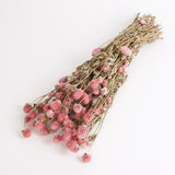 Gomphrena Flower, Dried, Super Grade, Natural Pink, 130g