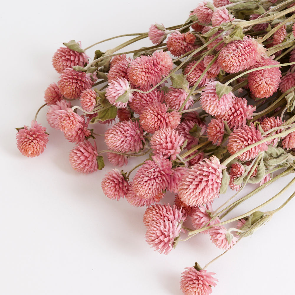 Gomphrena Flower, Dried, Super Grade, Natural Pink, 130g