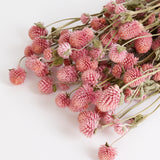 Gomphrena Flower, Dried, Super Grade, Natural Pink, 130g