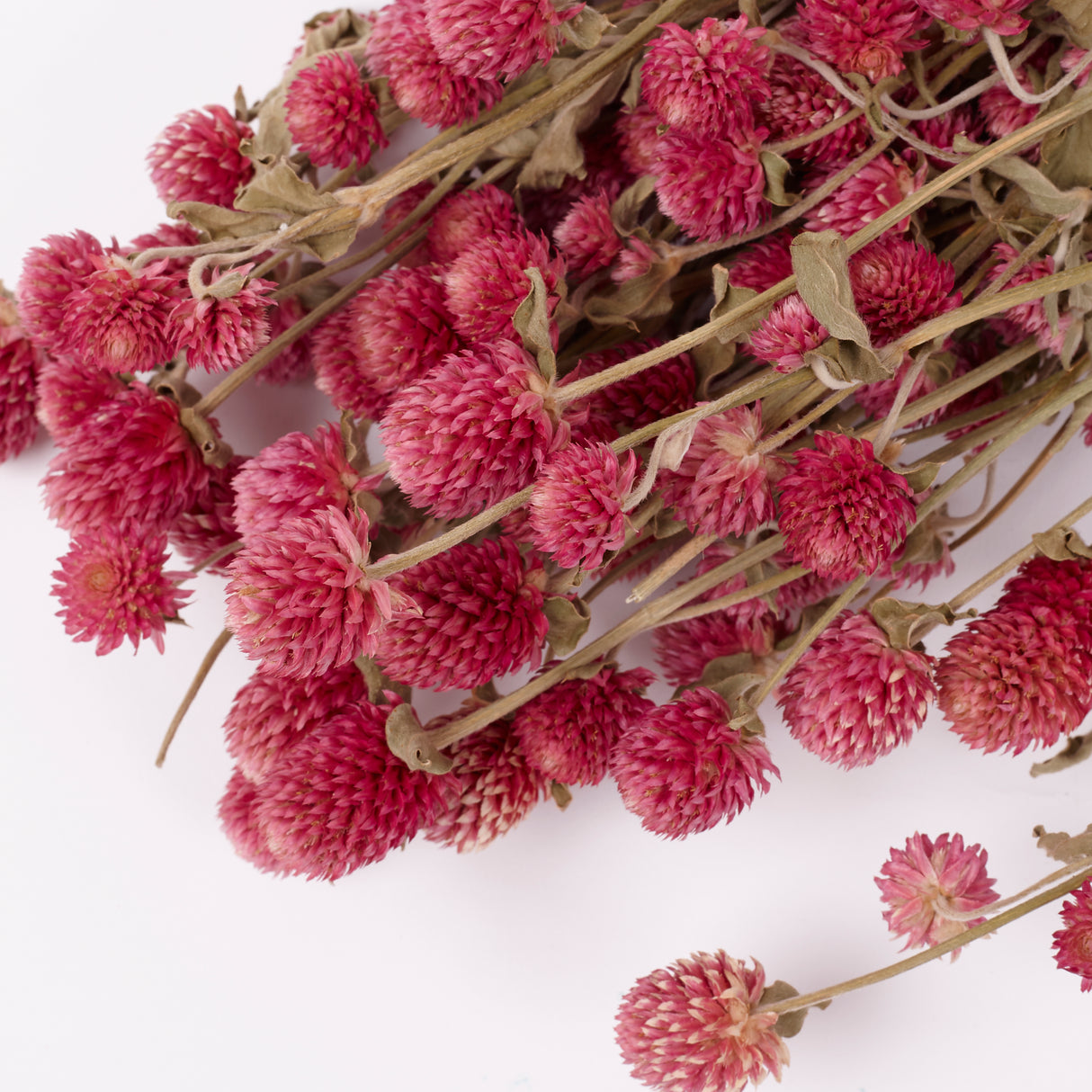 Gomphrena Flower, Dried, Super Grade, Natural Pink, 130g