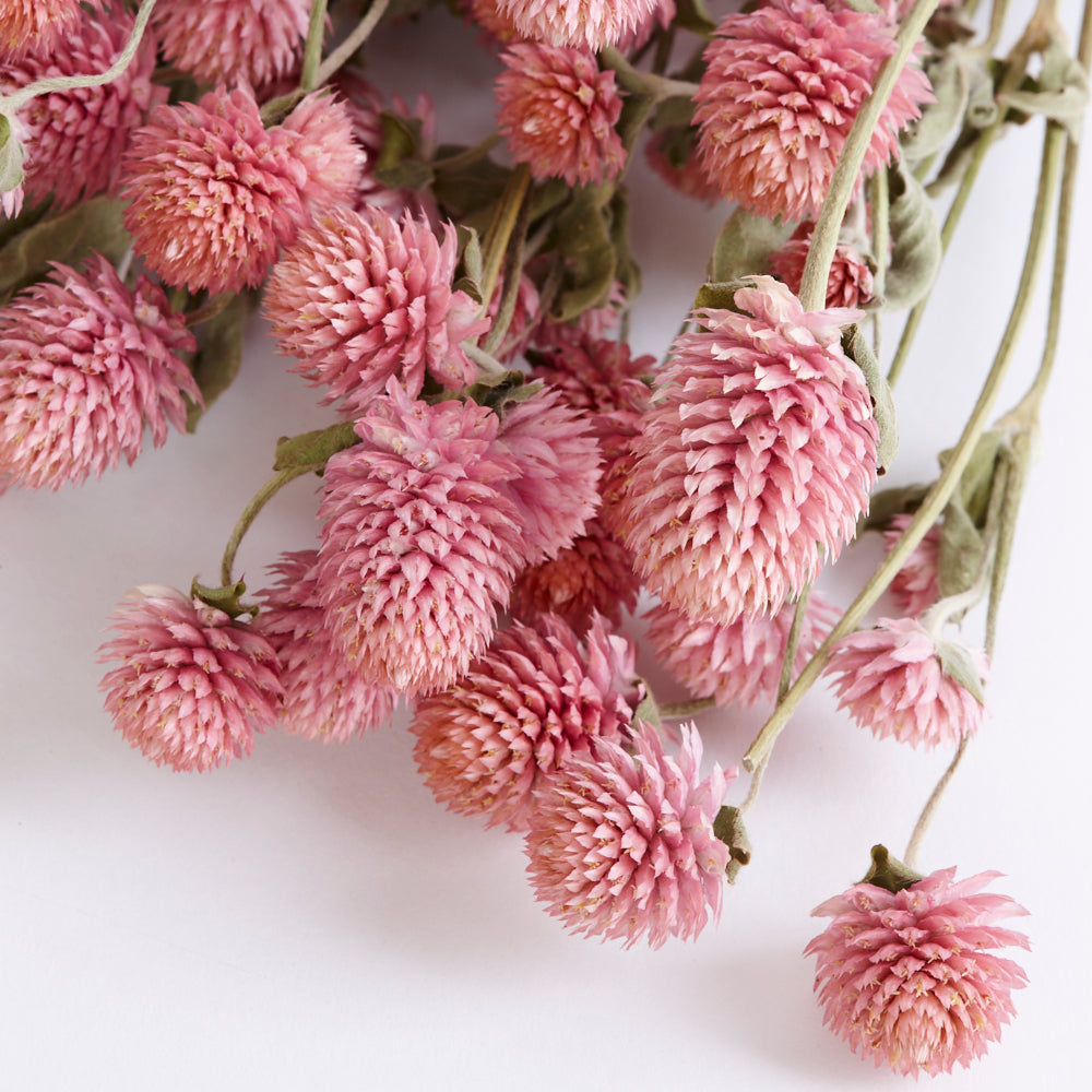 Gomphrena Flower, Dried, Super Grade, Natural Pink, 130g